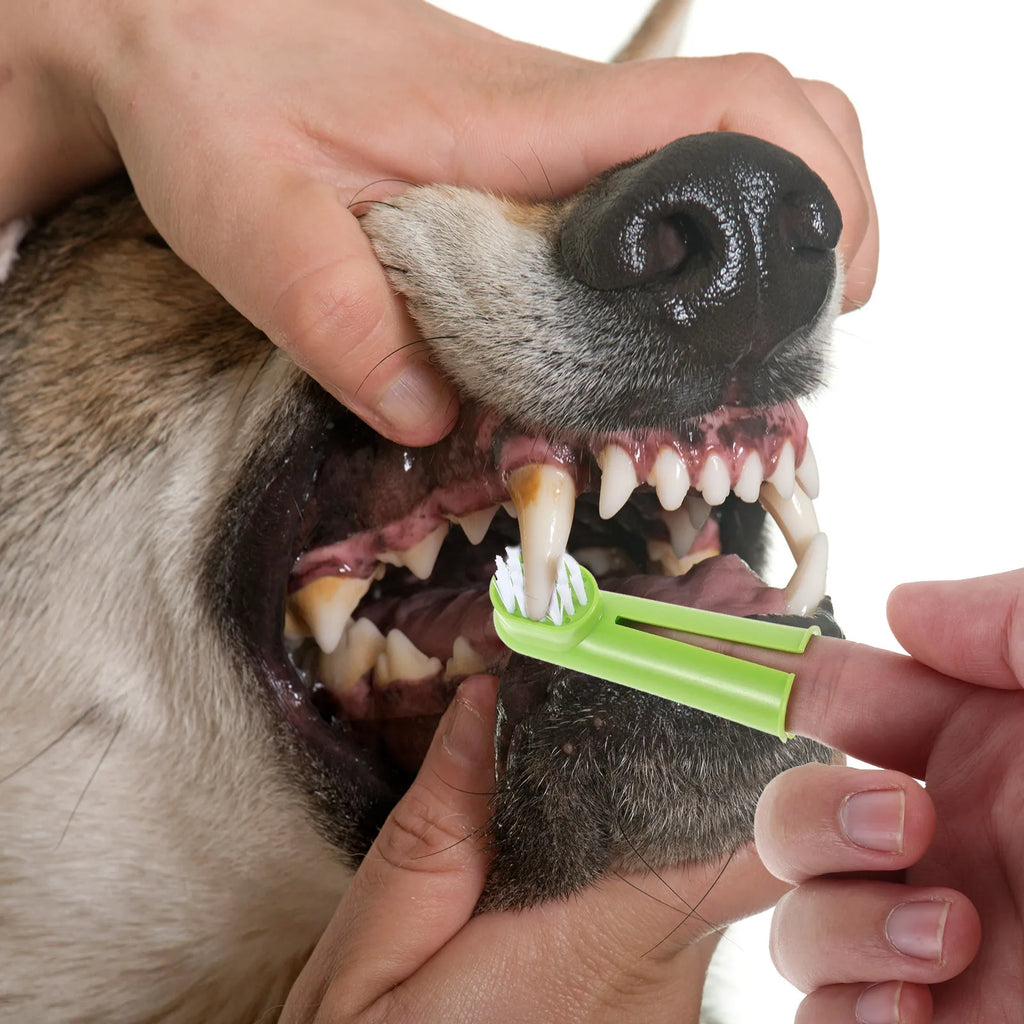 50Pcs Pet Finger Toothbrush Silicone Dog Cat Tooth Brush Soft Bristle for Small Large Breeds Puppy Kitten Oral Care Dental